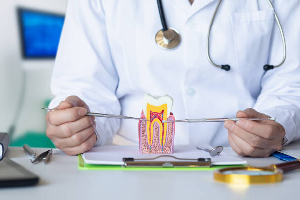 Best Emergency Broken Tooth Repair in Natalia, TX